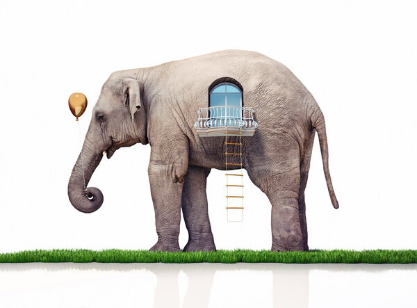 elephant as a house