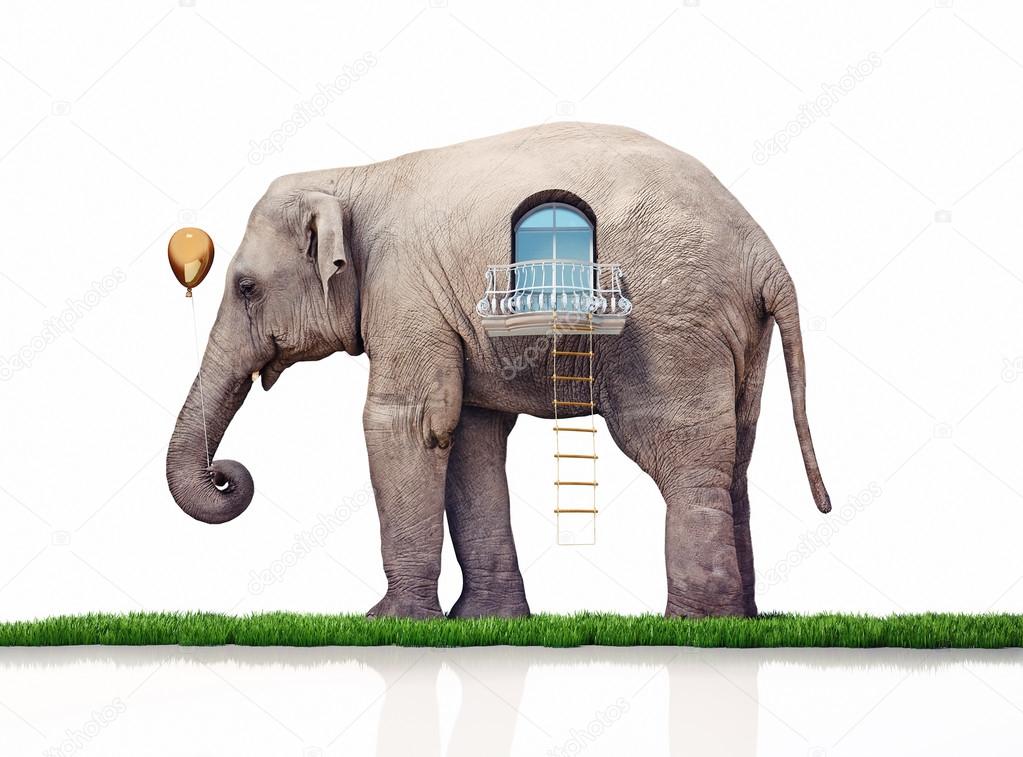 Elephant as a house — Stock Photo © vicnt2815 31035551