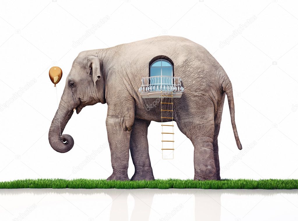 elephant as a house