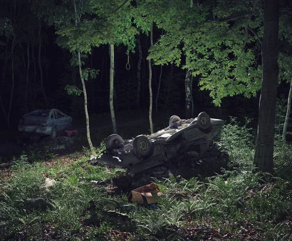 spooky night forest with car  frame . 3d illustration