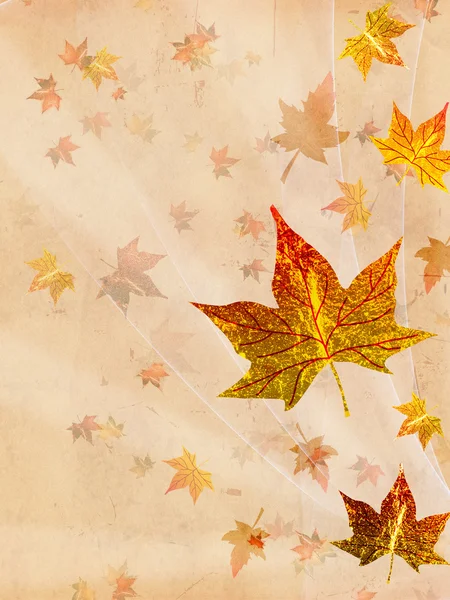 Retro beige autumn background — Stock Photo, Image