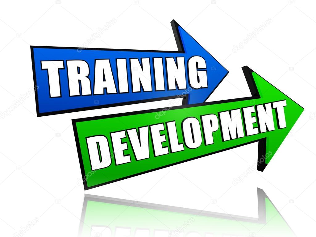 Training development in arrows