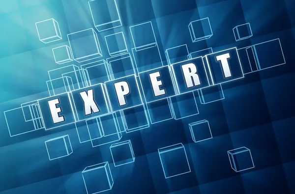 Expert - konceptet bild — Stockfoto