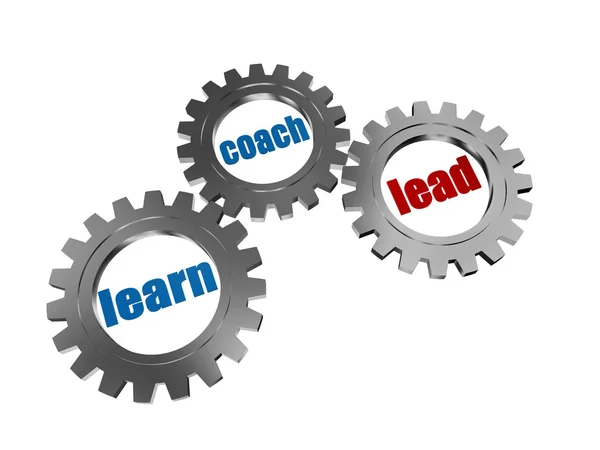 Learn, coach and lead in silver grey gearwheels — Stock Photo, Image