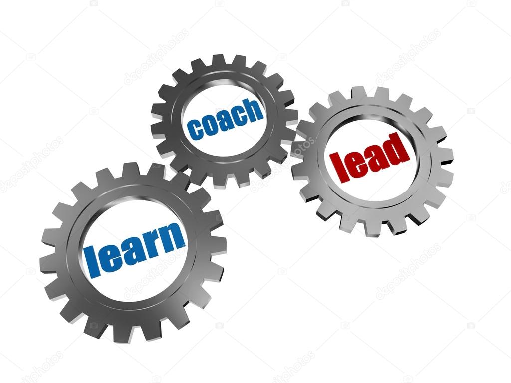 learn, coach and lead in silver grey gearwheels