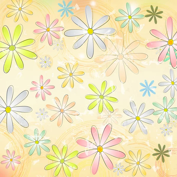 Flores de margarita de primavera sobre fondo de papel viejo beige con círculo — Foto de Stock