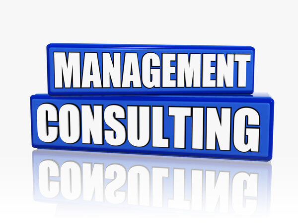 management consulting in blue blocks