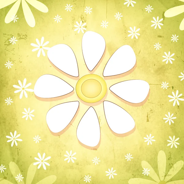 Spring white flower over vintage green background with daisy flo — Stock Photo, Image