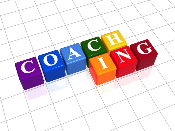 Coaching in color cubes — Stock Photo, Image