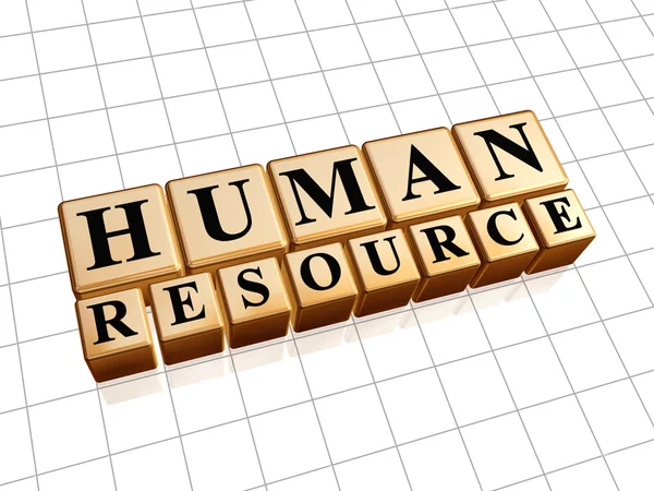 Human resources in golden cubes — Stock Photo, Image