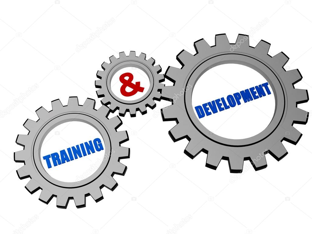 training & development in silver grey gears