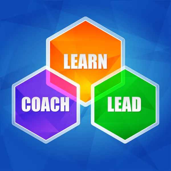 Aprender, treinador, chumbo em hexágonos, design plano — Fotografia de Stock