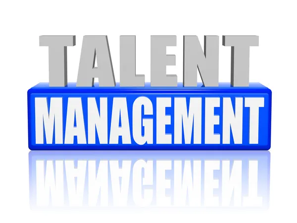 Talent management i 3d bokstäver och block — Stockfoto
