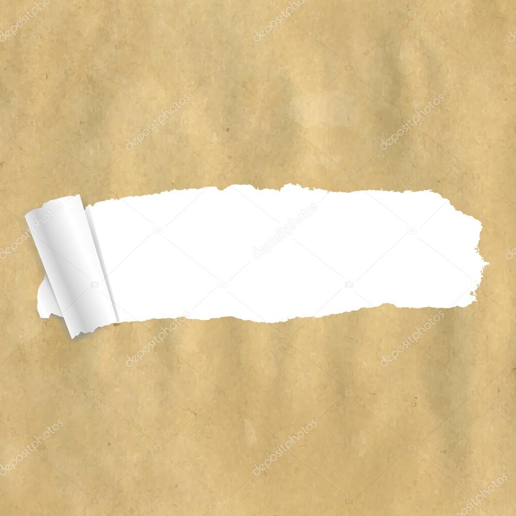 Package Paper Torn