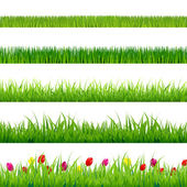 Big Green Grass And Flowers Set
