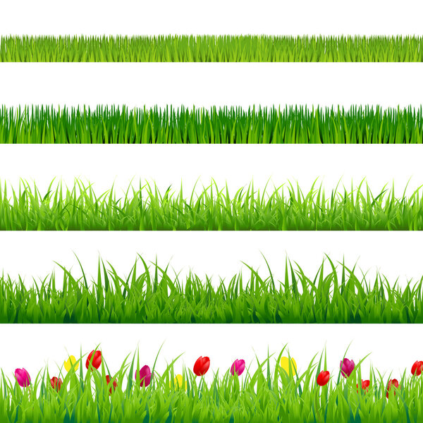 Big Green Grass And Flowers Set