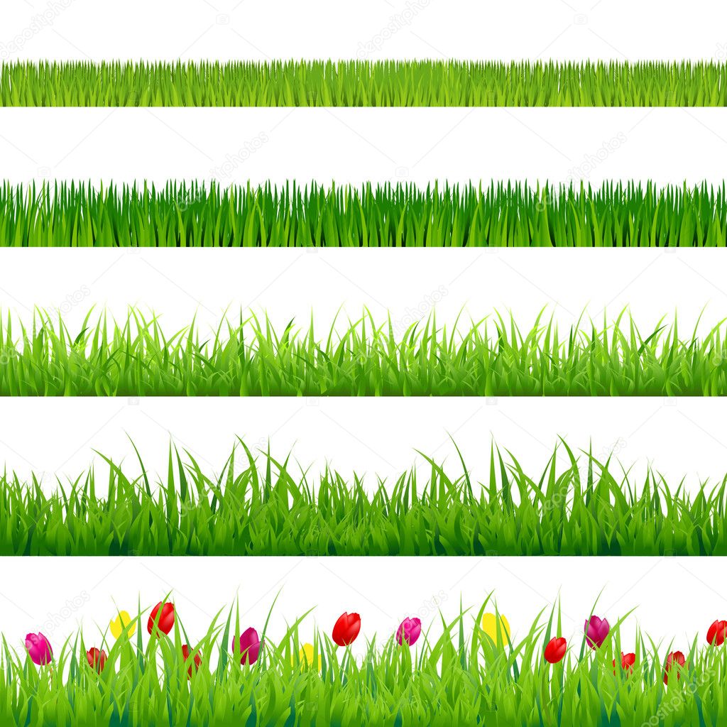 Big Green Grass And Flowers Set Stock Vector Image by ©adamson #20237025