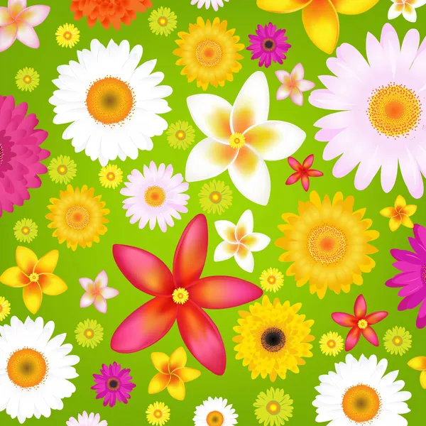 Zomer bloemen — Stockvector