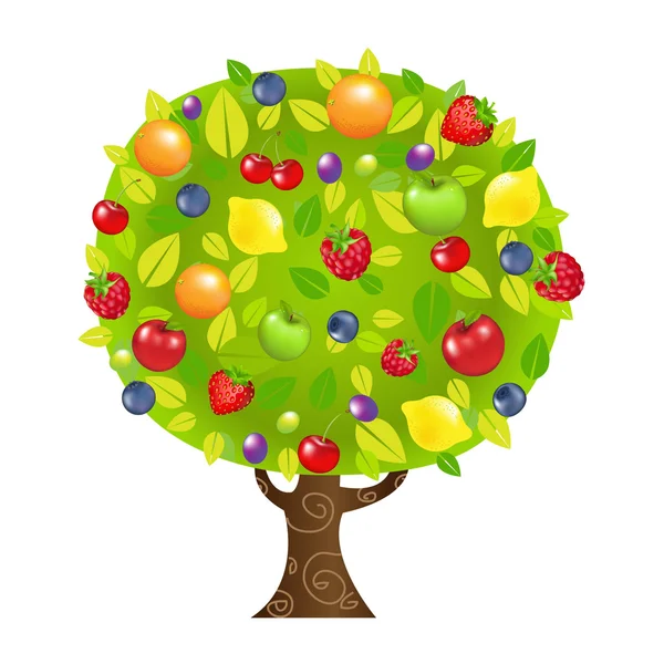 Fruit Tree — Stock Vector