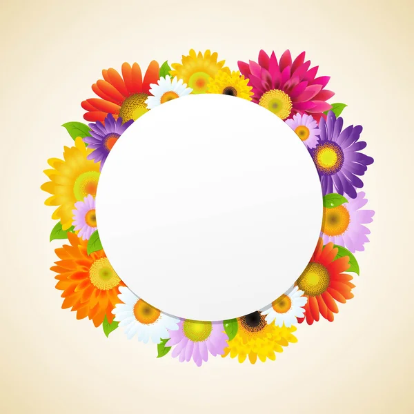 Flor colorida Gerbers — Vector de stock