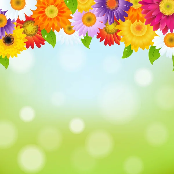 Barva gerbers květina rámec Stock Ilustrace