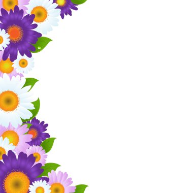 yeşil yaprak rengi Gerber'ler çiçekli çerçeve