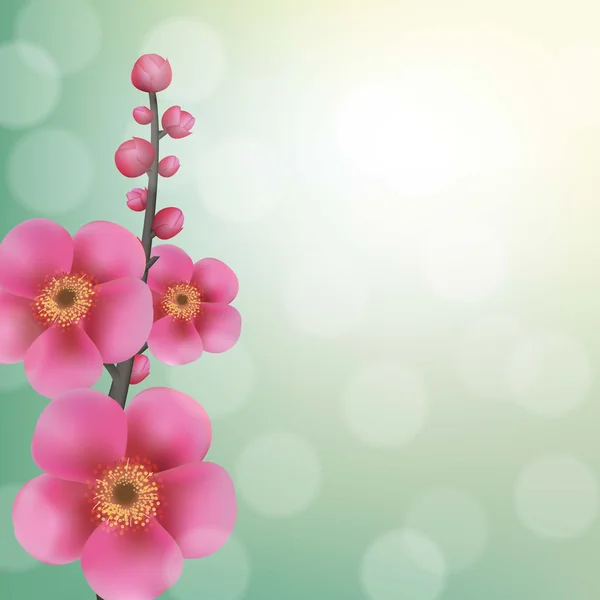 Sakura Blumen mit Bokeh — Stockvektor