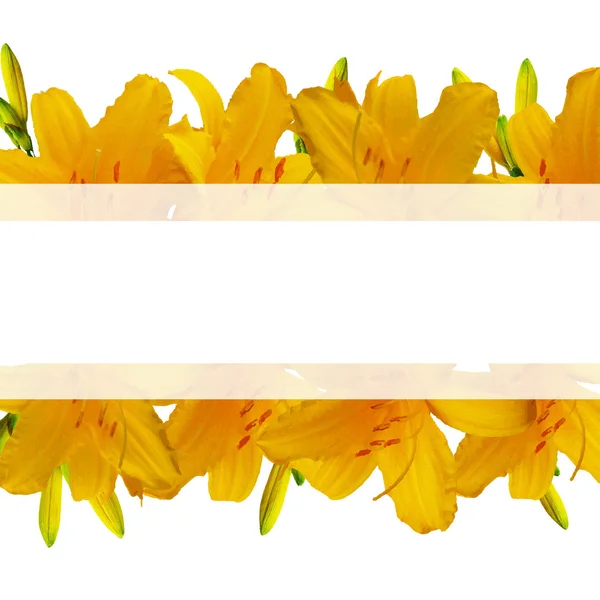 Banner de lirios amarillos — Archivo Imágenes Vectoriales