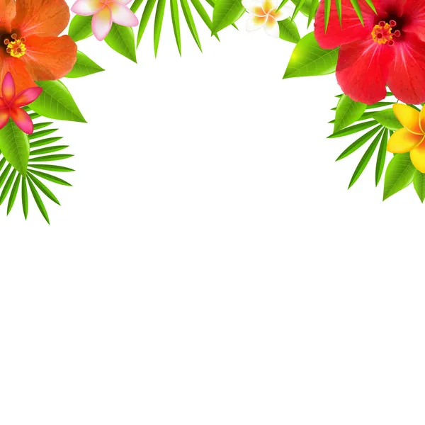 Тропическая граница цветов — стоковый вектор