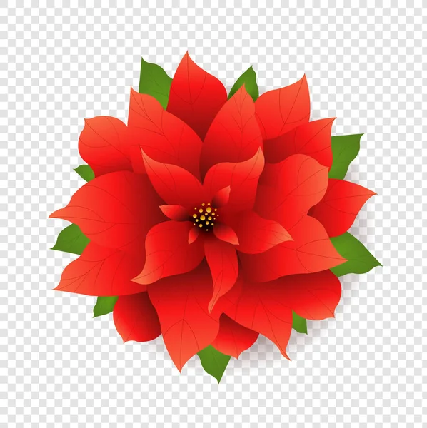Boldog új évet zászló Poinsettia — Stock Vector