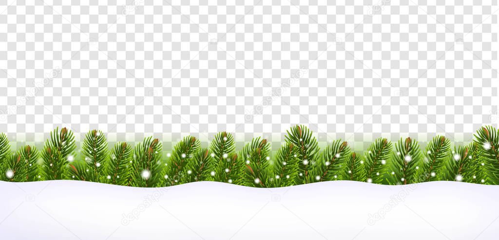 Christmas Fir Tree Border With Snow Isolated Transparent Background