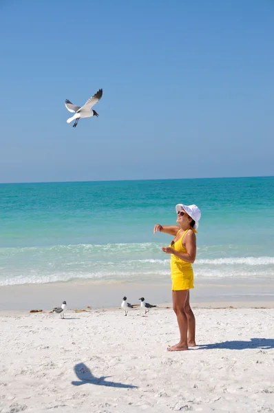 Mujer alimentando gaviotas — Foto de Stock