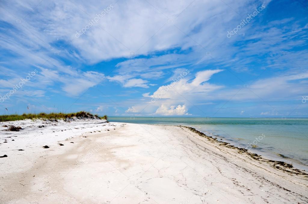 Beautiful Florida Coastline