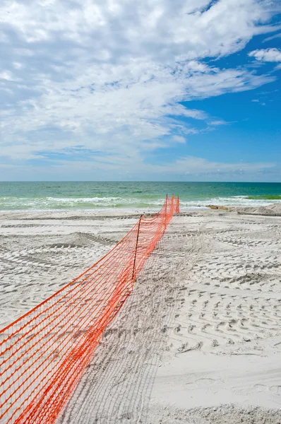 Восстановление пляжа — стоковое фото