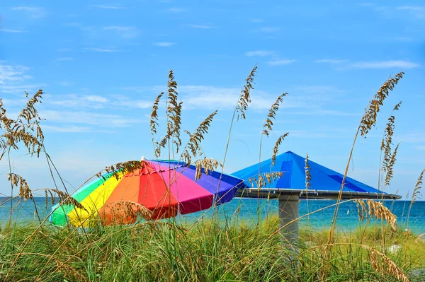 Strand parasols — Stockfoto