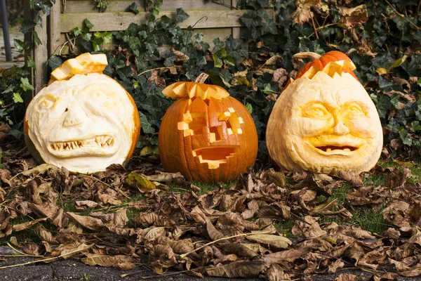 Halloween pumpkins — Stock Photo, Image