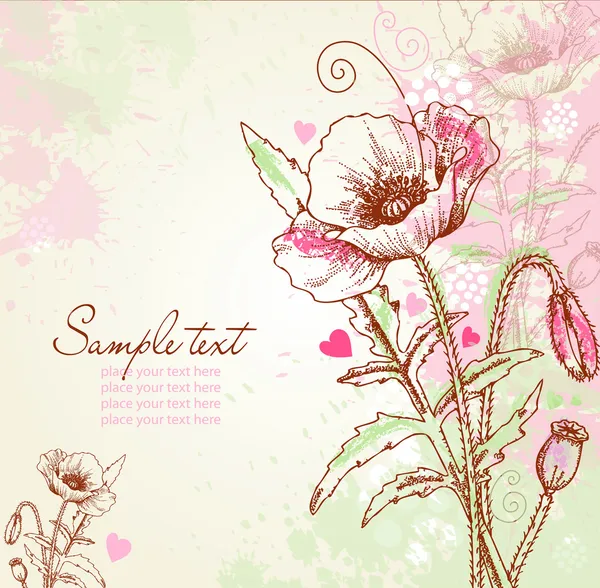 Flores de amapola vectorial — Vector de stock