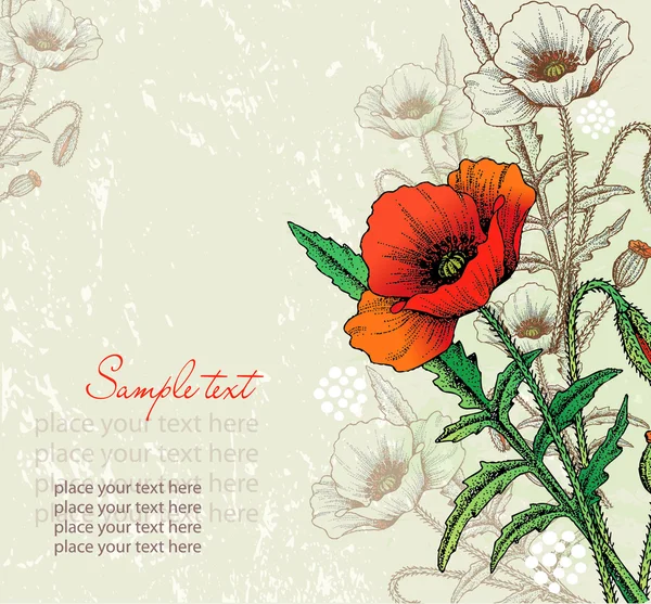 Flores de amapola vectorial — Vector de stock