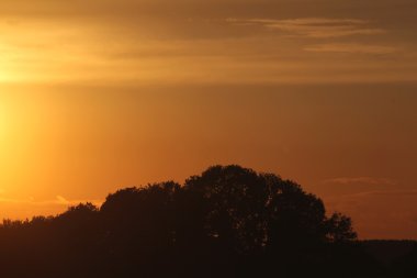 forest hills üzerinde güzel gün batımı