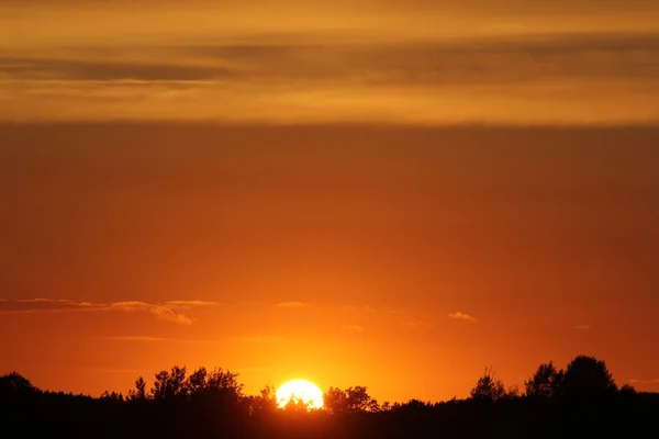 Hermoso atardecer sobre colinas forestales — Foto de Stock