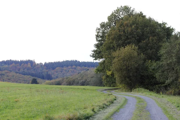 Waldweg — Stockfoto