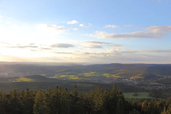Tyska forestscape — Stockfoto