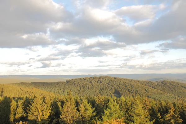 Tyska skogslandskapet — Stockfoto