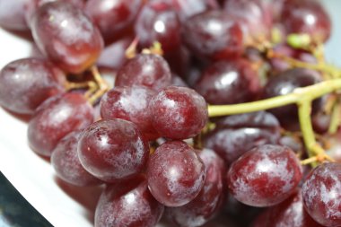 Kırmızı üzümler