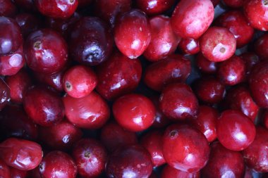 arka plan olarak izole taze kızılcık