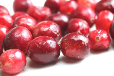 taze izole kızılcık