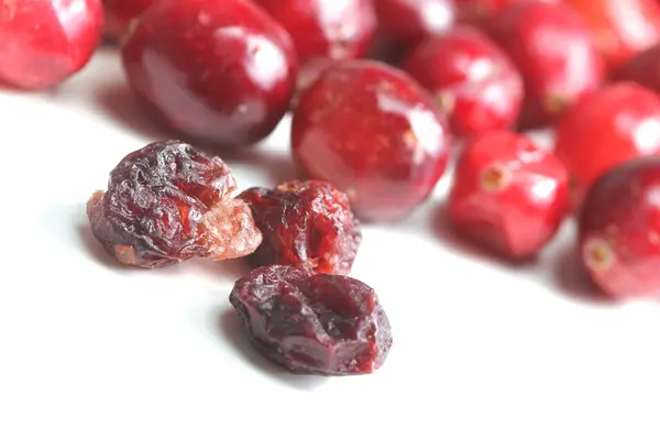Fresh isolated and some dried cranberries — 스톡 사진