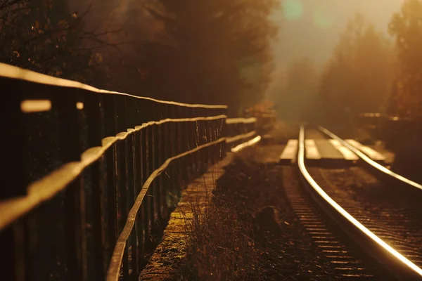 Einsame Bahngleise an einem goldenen Herbsttag — Stockfoto