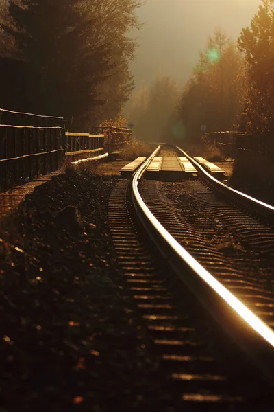 Trilhos ferroviários solitários em um dia de outono dourado — Fotografia de Stock