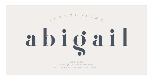 Zarif alfabe harfleri yazı tipi ve numarası. Klasik Harfler Minimum Moda Tasarımı. Tipografi modern serif yazı tipleri dekoratif vintage konsepti. vektör illüstrasyonu